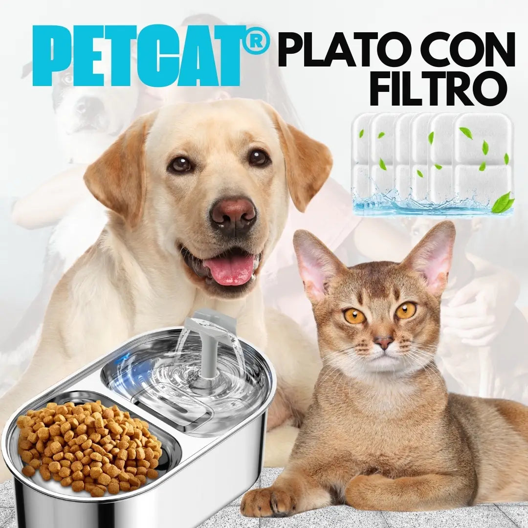 PETCAT® COMEDERO CON FILTRO Y FUENTE DE AGUA