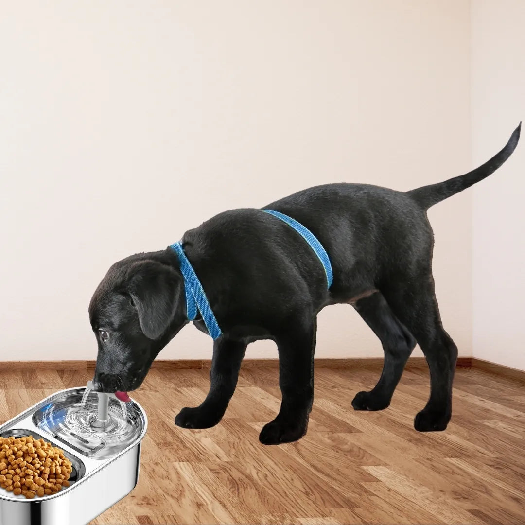 PETCAT® COMEDERO CON FILTRO Y FUENTE DE AGUA