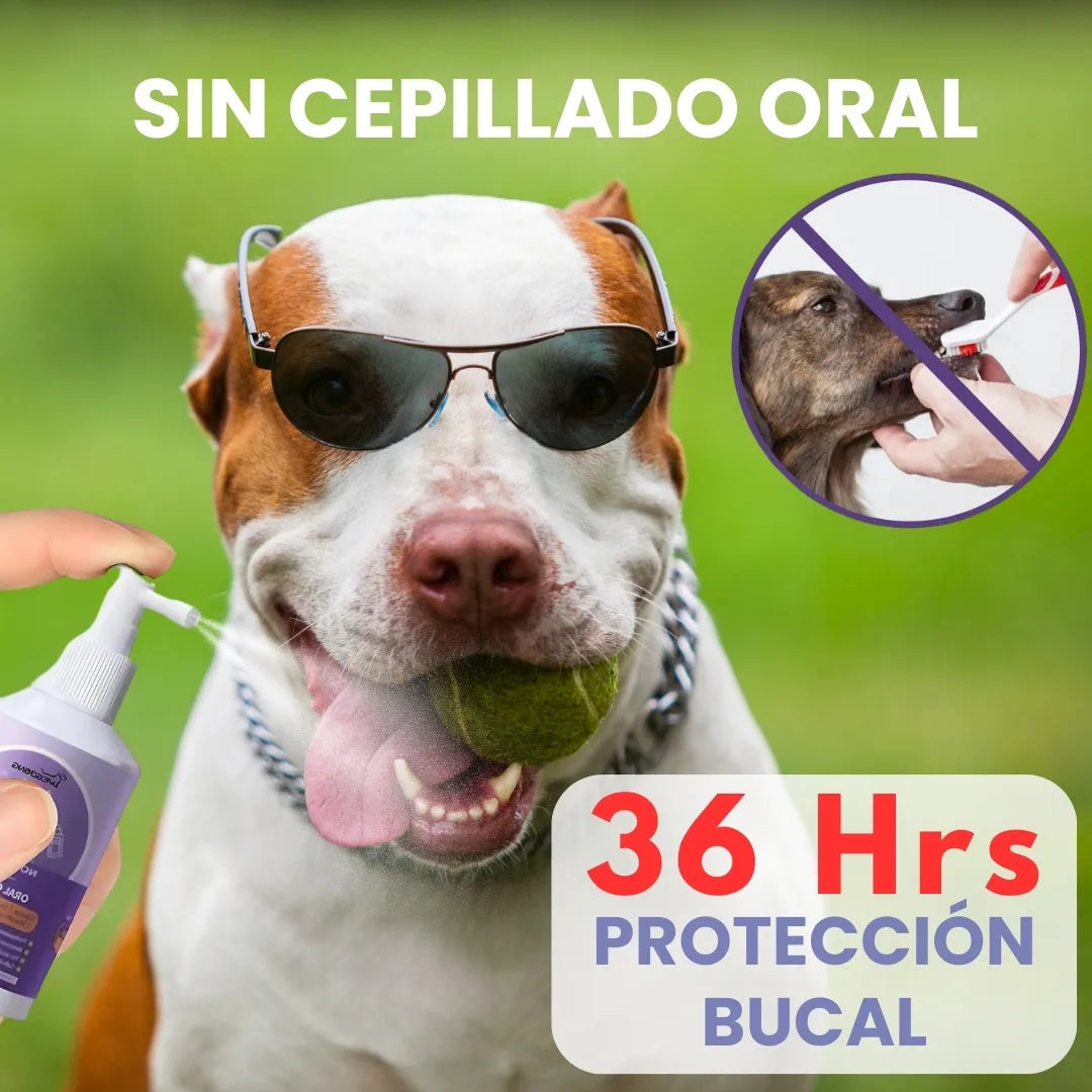 ORALPET® SPRAY BUCAL PARA MASCOTAS 100% NATURAL