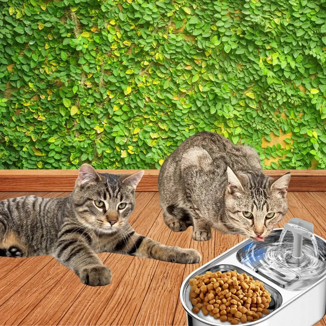 PETCAT® COMEDERO CON FILTRO Y FUENTE DE AGUA