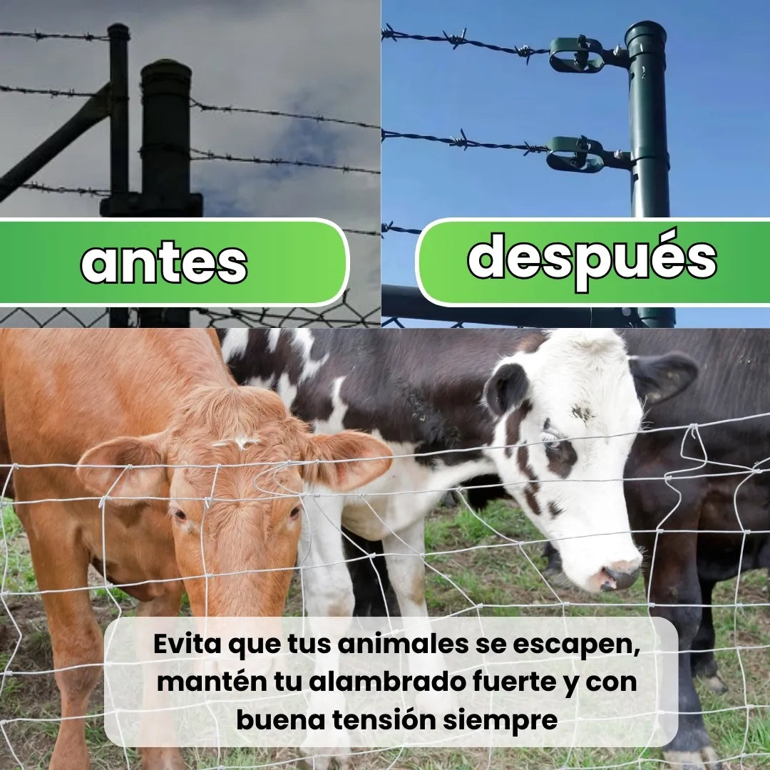 TENSAFIX® TENSOR DE ALAMBRE GALVANIZADO PROFESIONAL KIT X10