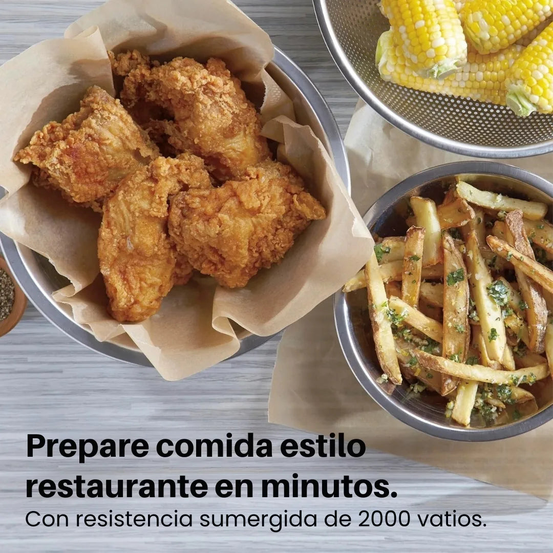 FRITAEXPRESS® FREIDORA ELÉCTRICA PROFESIONAL