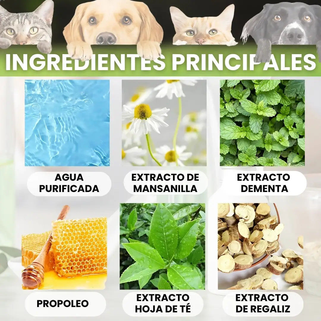 ORALPET® SPRAY BUCAL PARA MASCOTAS 100% NATURAL