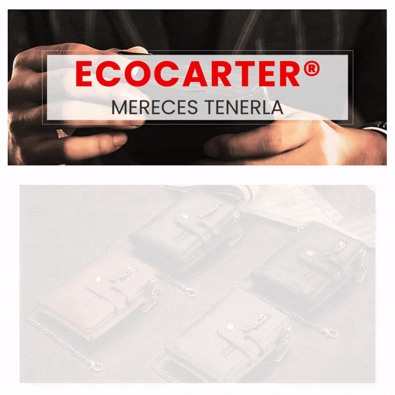 ECOCARTER® BILLETERA RFID CON CADENA, TARJETERA Y MONEDERA